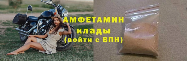 прущие грибы Арсеньев