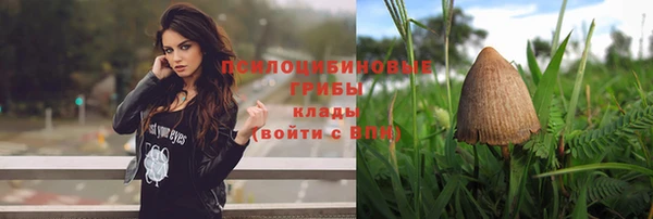 прущие грибы Арсеньев