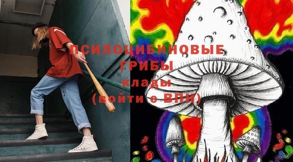 прущие грибы Арсеньев