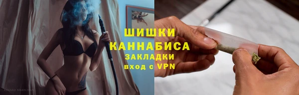 прущие грибы Арсеньев